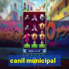 canil municipal